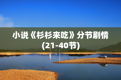 小说《杉杉来吃》分节剧情(21-40节)