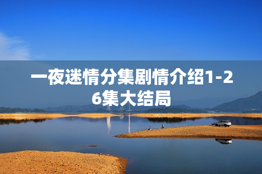 一夜迷情分集剧情介绍1-26集大结局