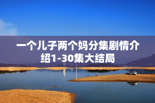 一个儿子两个妈分集剧情介绍1-30集大结局