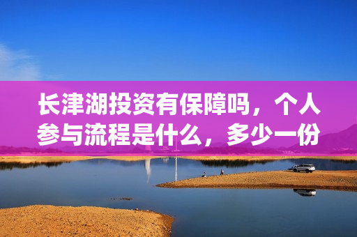 长津湖投资有保障吗，个人参与流程是什么，多少一份？(长津湖下部投资)