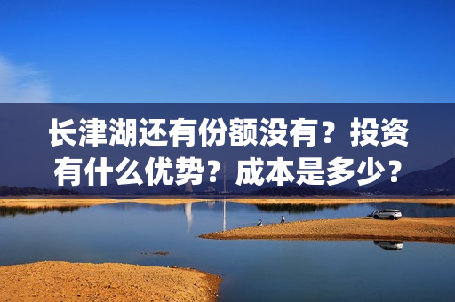 长津湖还有份额没有？投资有什么优势？成本是多少？(长津湖还有后续吗)