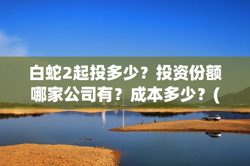 白蛇2起投多少？投资份额哪家公司有？成本多少？(白蛇2耗资)