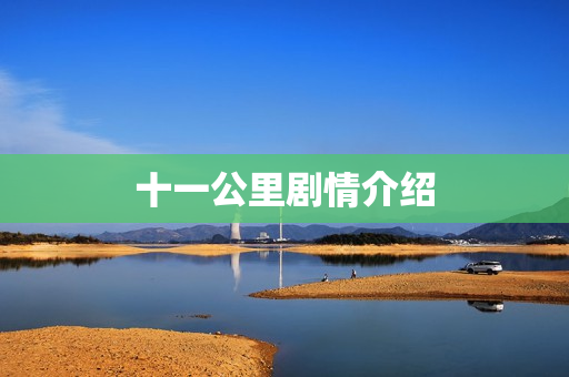 十一公里剧情介绍