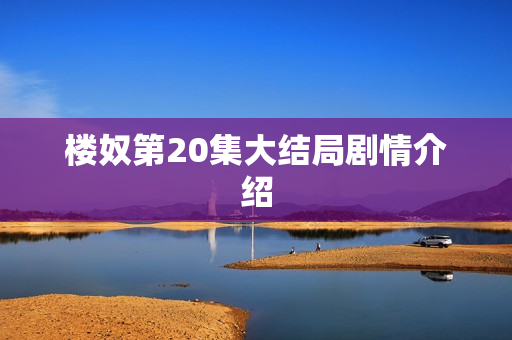 楼奴第20集大结局剧情介绍