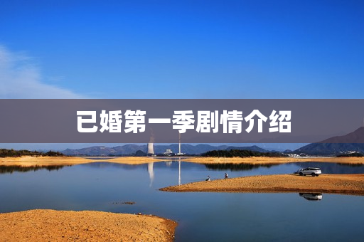 已婚第一季剧情介绍