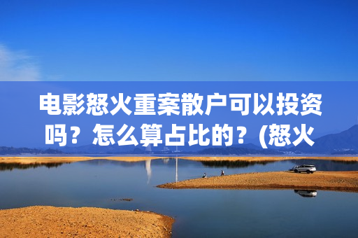 电影怒火重案散户可以投资吗？怎么算占比的？(怒火重案原版)