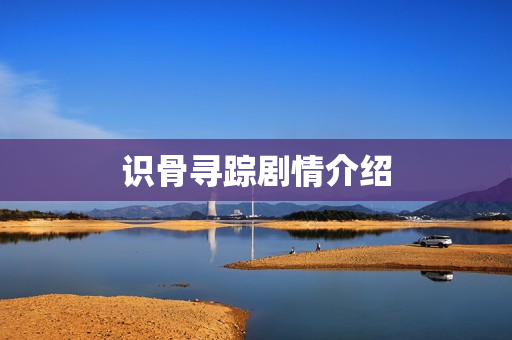 识骨寻踪剧情介绍