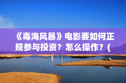 《毒海风暴》电影要如何正规参与投资？怎么操作？(毒海风暴有哪几个公司参与)