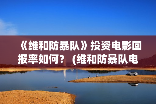 《维和防暴队》投资电影回报率如何？ (维和防暴队电视剧免费观看)