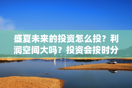 盛夏未来的投资怎么投？利润空间大吗？投资会按时分红吗？(盛夏未来投资成本多少)