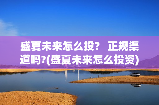 盛夏未来怎么投？ 正规渠道吗?(盛夏未来怎么投资)