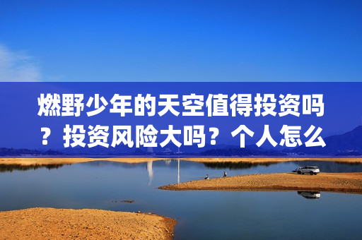 燃野少年的天空值得投资吗？投资风险大吗？个人怎么投资？(燃野少年的天空演员表介绍)