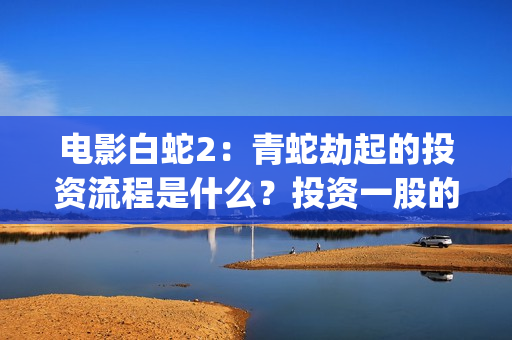 电影白蛇2：青蛇劫起的投资流程是什么？投资一股的收益率是多少？(电影白蛇2:青蛇劫起的法海有用法器吗?)