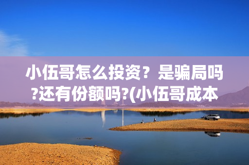 小伍哥怎么投资？是骗局吗?还有份额吗?(小伍哥成本)