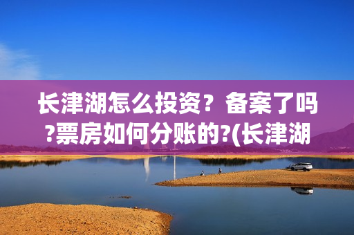 长津湖怎么投资？备案了吗?票房如何分账的?(长津湖投资收益有多少)