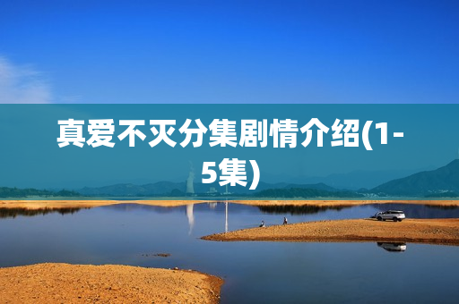 真爱不灭分集剧情介绍(1-5集)