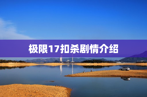 极限17扣杀剧情介绍 极限17扣杀剧情介绍