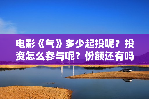 电影《气》多少起投呢？投资怎么参与呢？份额还有吗？