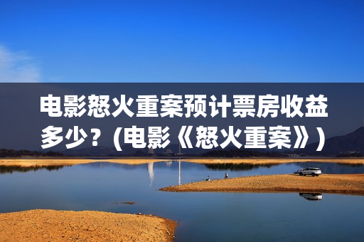电影怒火重案预计票房收益多少？(电影《怒火重案》)