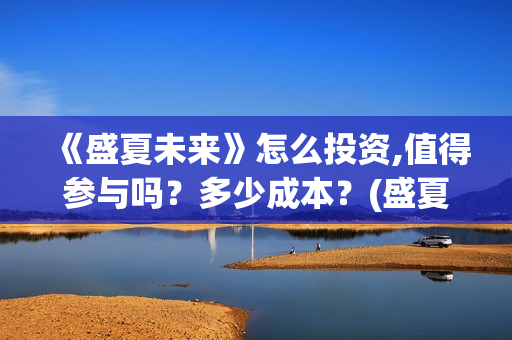 《盛夏未来》怎么投资,值得参与吗？多少成本？(盛夏未来ts)