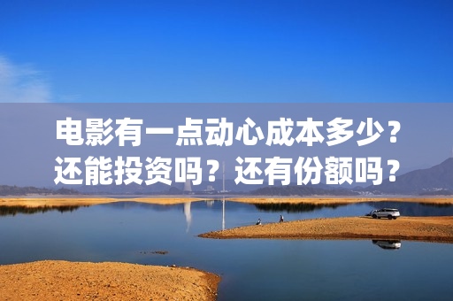 电影有一点动心成本多少？还能投资吗？还有份额吗？(电影有一点动心豆瓣)