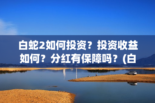 白蛇2如何投资？投资收益如何？分红有保障吗？(白蛇2亏了还是赚了)
