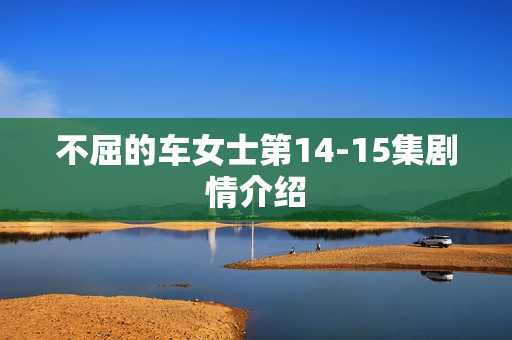 不屈的车女士第14-15集剧情介绍