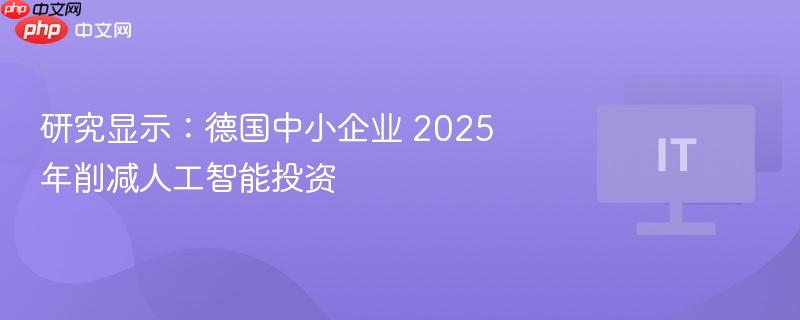 研究显示：德国中小企业 2025 年削减人工智能投资