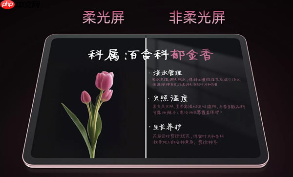 国补价1709.1元起!OPPO Pad Air5首销:支持插SIM卡