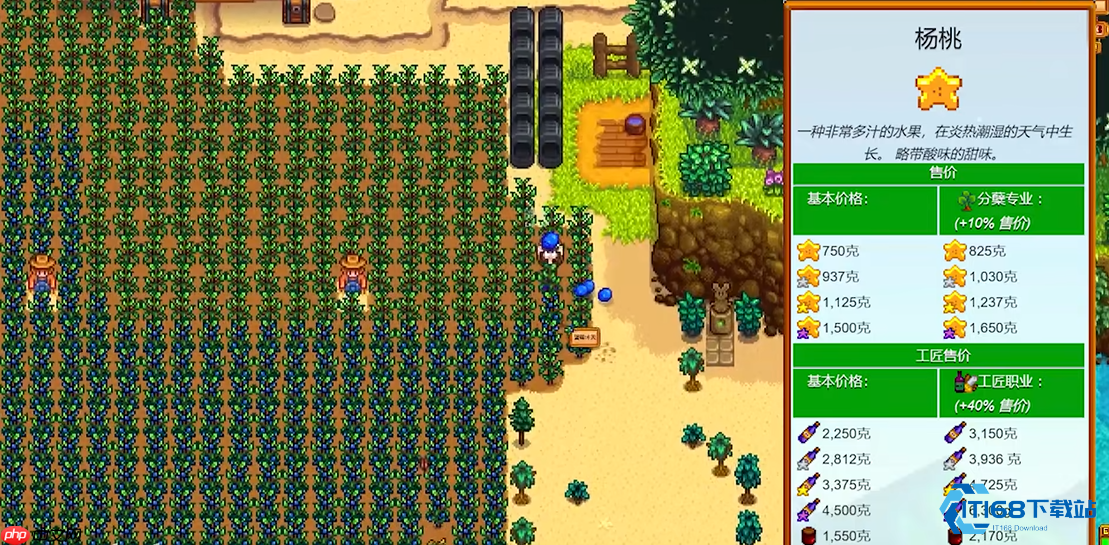 星露谷物语银星果酒酿造全攻略 从入门到精通的品质升华指南