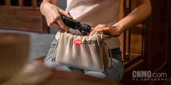 OPPO、vivo们排队进入Pocket赛道 手机不香了？