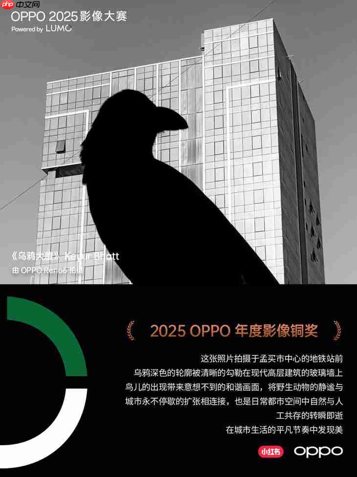 点亮感动时刻  OPPO 2025影像大赛获奖作品正式公布