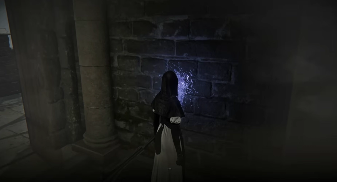 翘臀修女爱舔墙！《艾尔登法环：黑夜君临》修女全皮肤舔墙合集