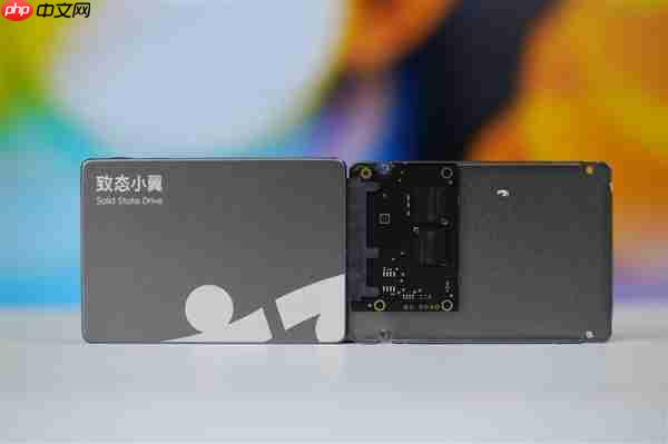 长江存储原厂颗粒!致态小翼S001 1TB SSD图赏