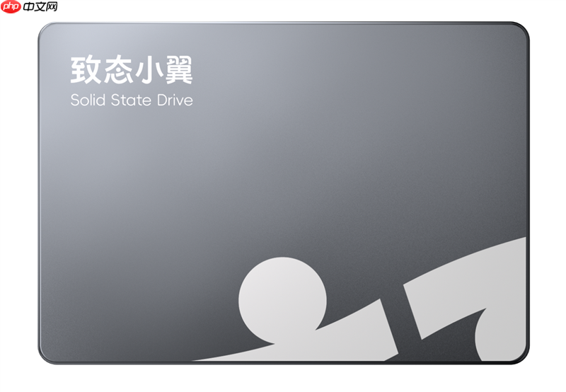 致态小翼S001 SSD评测:SATA接口性能极限 附带软件一键迁移系统