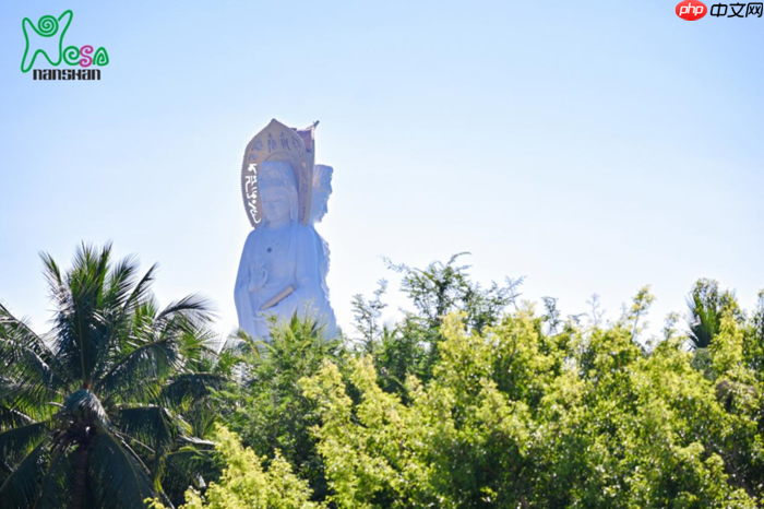 素味平生,缘起南山,第三届三亚南山素食文化节即将开幕