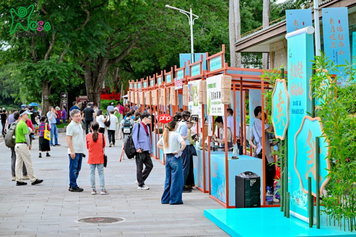 素味平生,缘起南山,第三届三亚南山素食文化节即将开幕