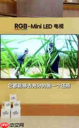 50分钟硬核科普！人民日报为海信RGB-Mini LED电视打call：这创新很中国
