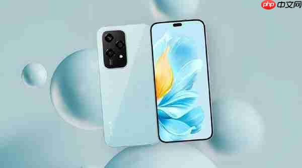 王班：荣耀手机中东非洲地区2025年发货量超1000万台