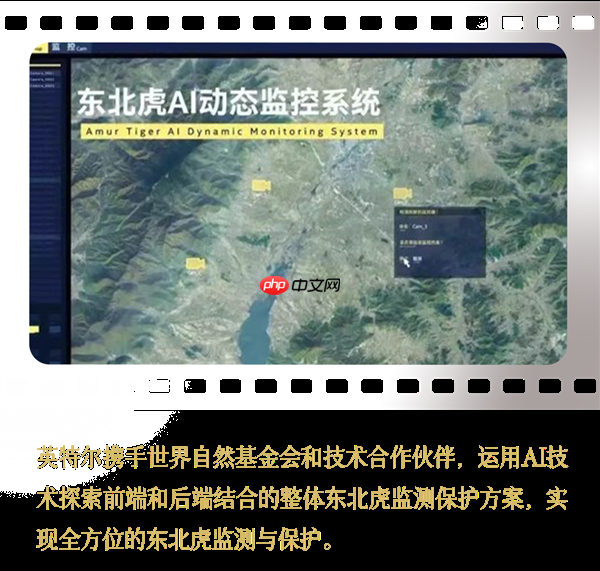 Intel中国整整40年了!揭开你不熟悉的另一面