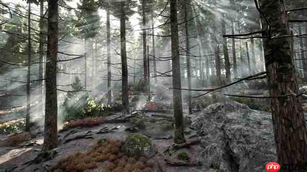 双十二装备升级指南:华硕RTX50系显卡选购攻略