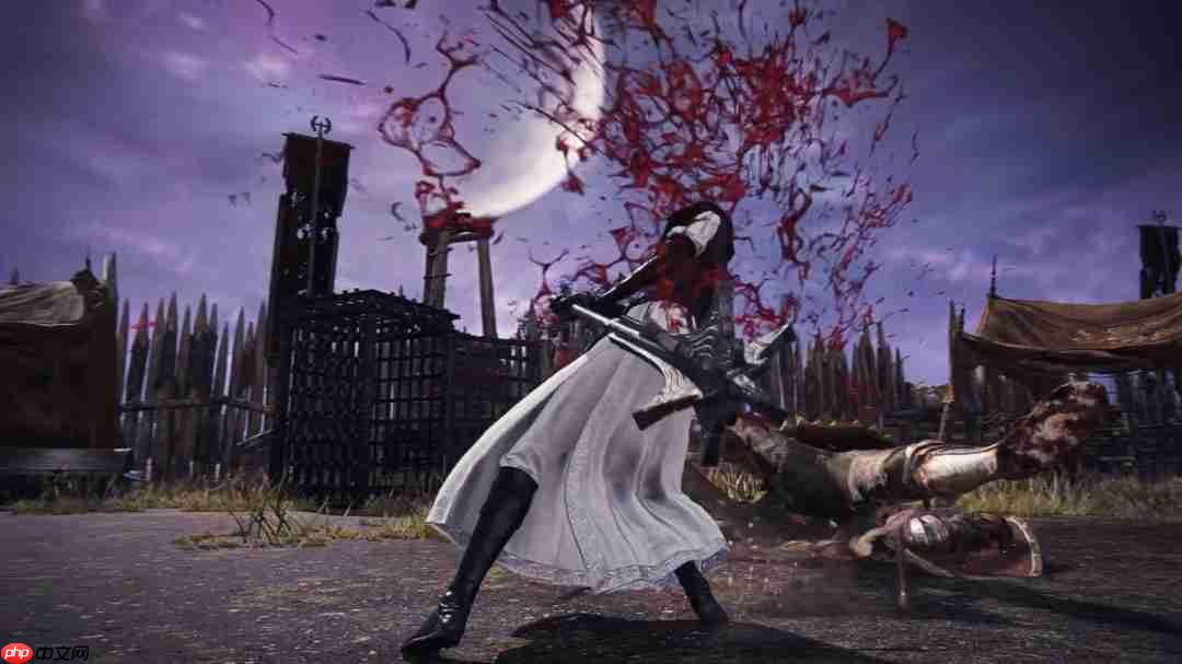 翘臀修女姐姐!《艾尔登法环黑夜君临》DLC角色PV:送葬者