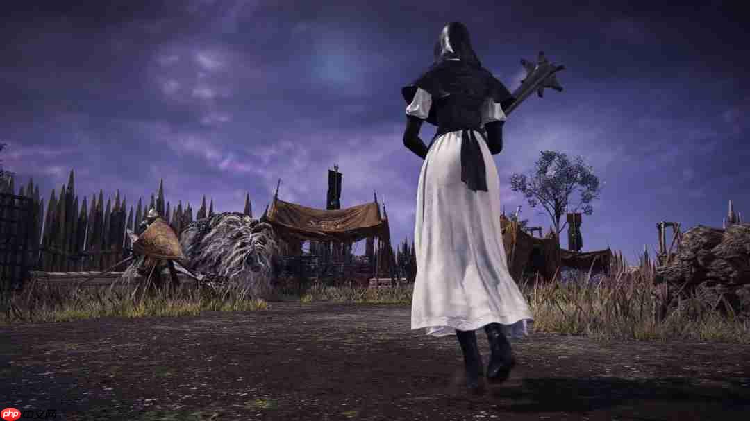 翘臀修女姐姐!《艾尔登法环黑夜君临》DLC角色PV:送葬者