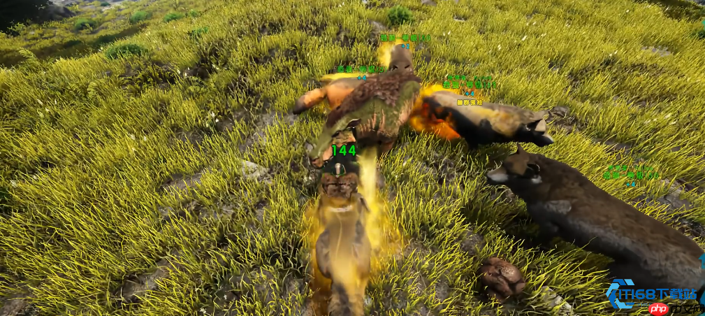 驯服恐狼组建无敌狼群:全面解析实用战斗与探索技巧