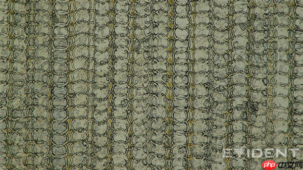 苹果又一突破:iPhone Air USB-C接口采用3D打印技术