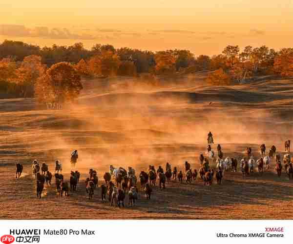 何刚晒华为Mate 80系列实拍样张:红枫影像色彩表现一绝