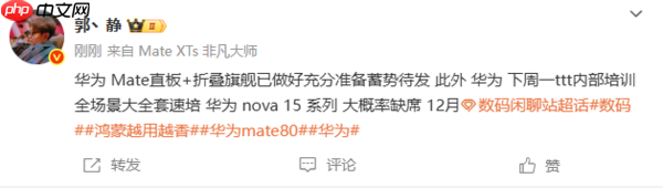 曝华为nova 15系列配2.5D护眼直屏 12月发布无望？