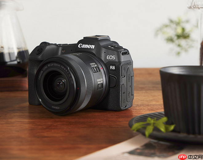 旅拍、亲子、野生动物：佳能R8便携性全画幅相机一机搞定