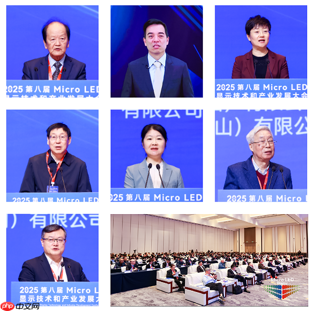 2025第八届MicroLED显示技术和产业发展大会圆满闭幕