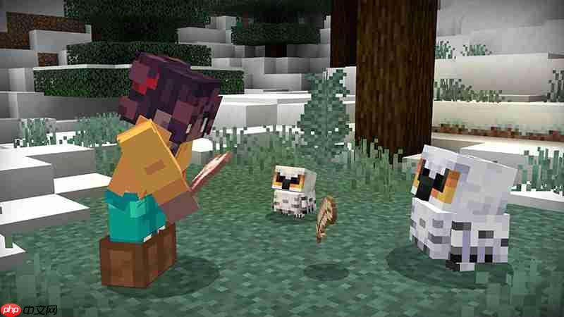 《minecraft》免费人气模组:只加「猫头鹰」为何人气爆棚?